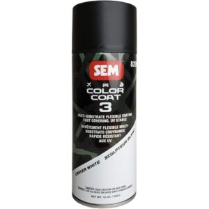 SEM 82083 - Carver White Color Coat 3 Aerosol